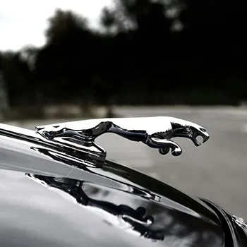 Jaguar Repair and Service in Texas